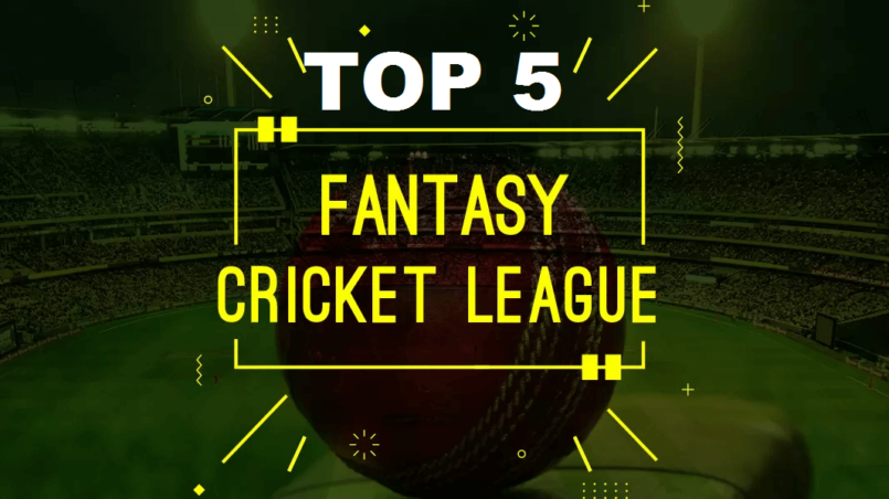 Fantasy Cricket Leagues