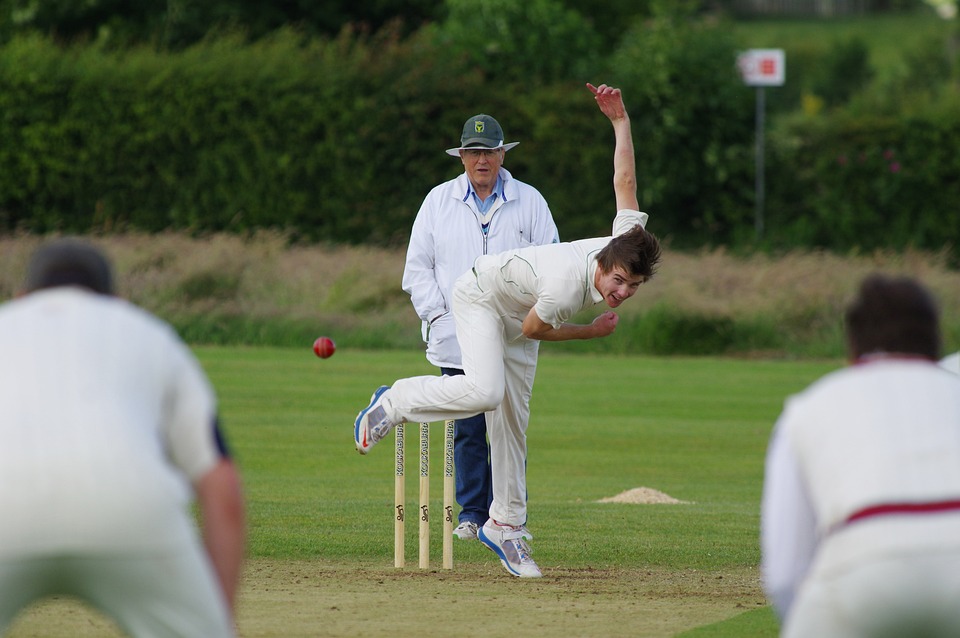 cricket playing